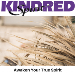 Kindred Spirit - Awaken Your True Spirit - Gina Battye